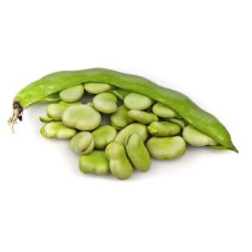 Broad bean  